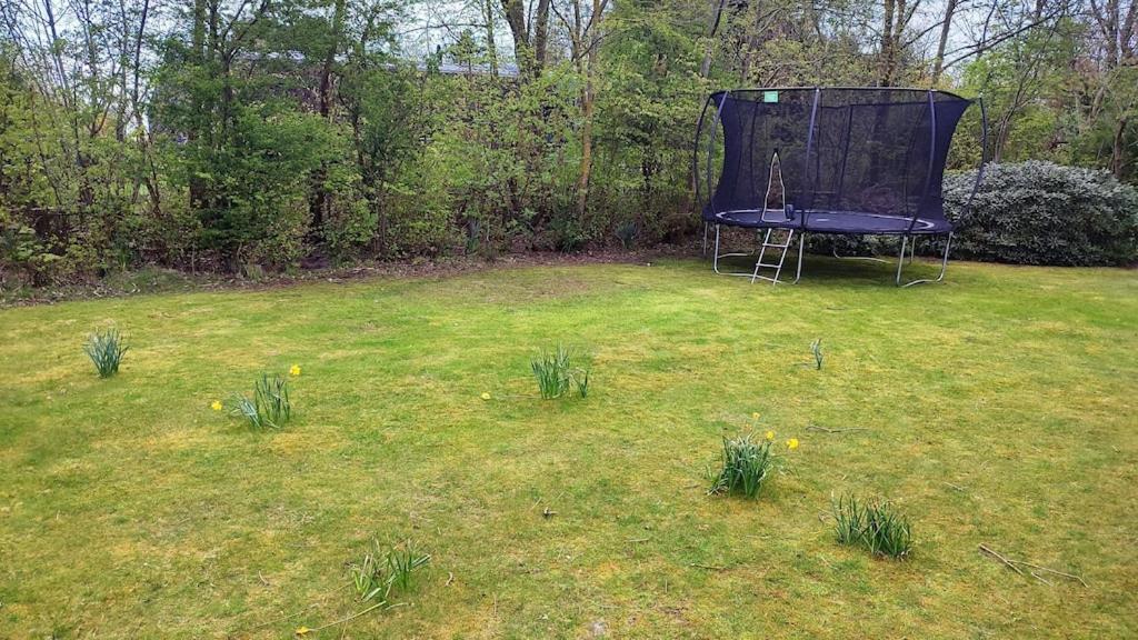 Vakantiehuis Hollum Ameland Dichtbij Strand En Met Ruime Tuin - Ameland39 Nl Экстерьер фото